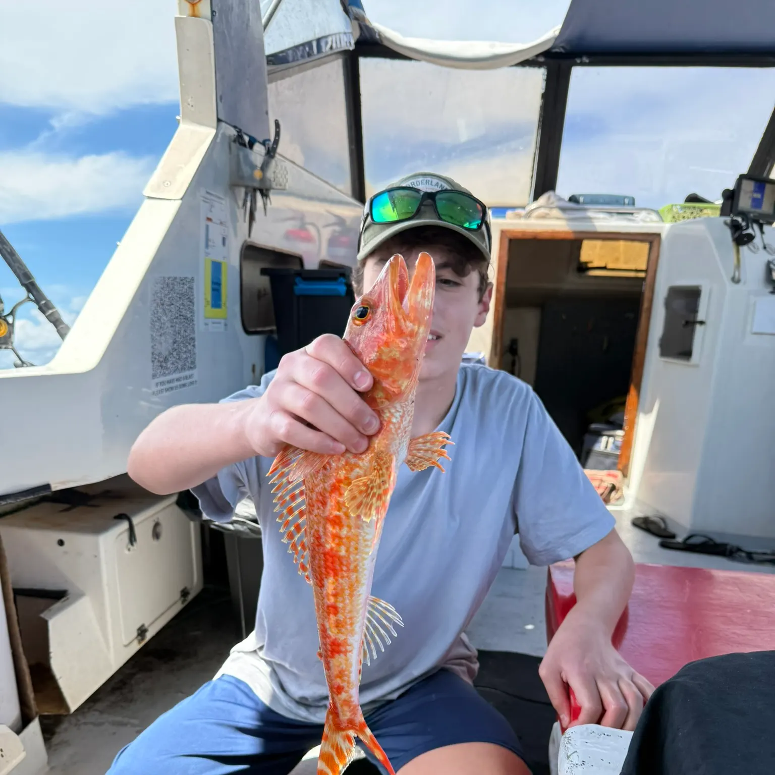 The most recent Red gurnard catches on Fishbrain