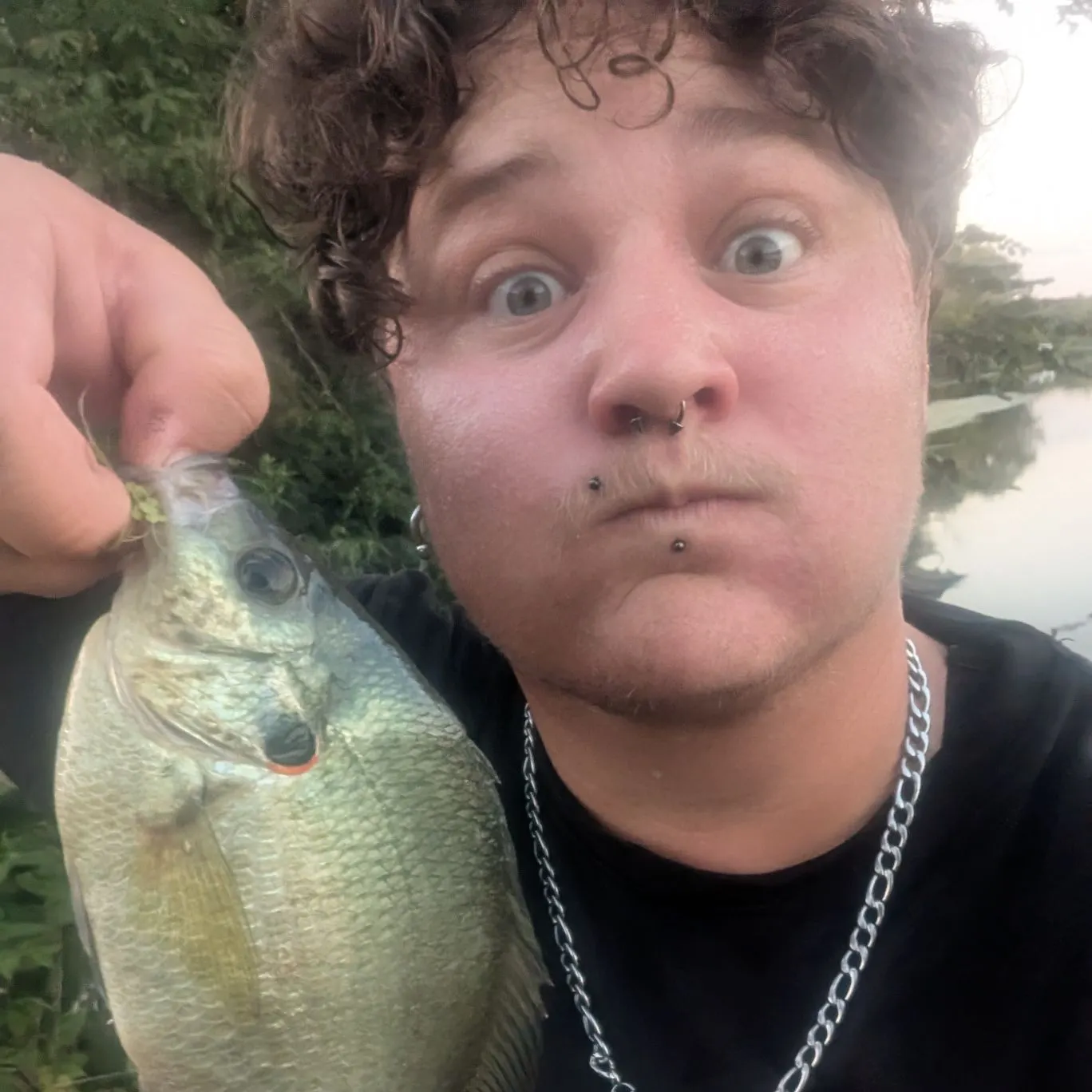 Redear sunfish caught on Fishbrain