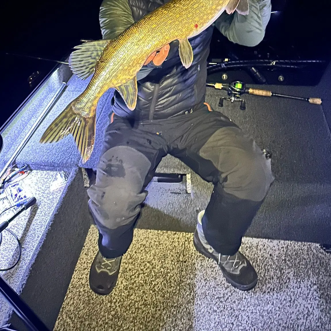 The most recent Northern pike catches on Fishbrain