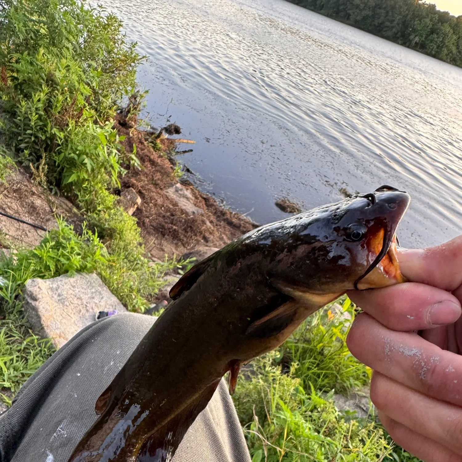 catch