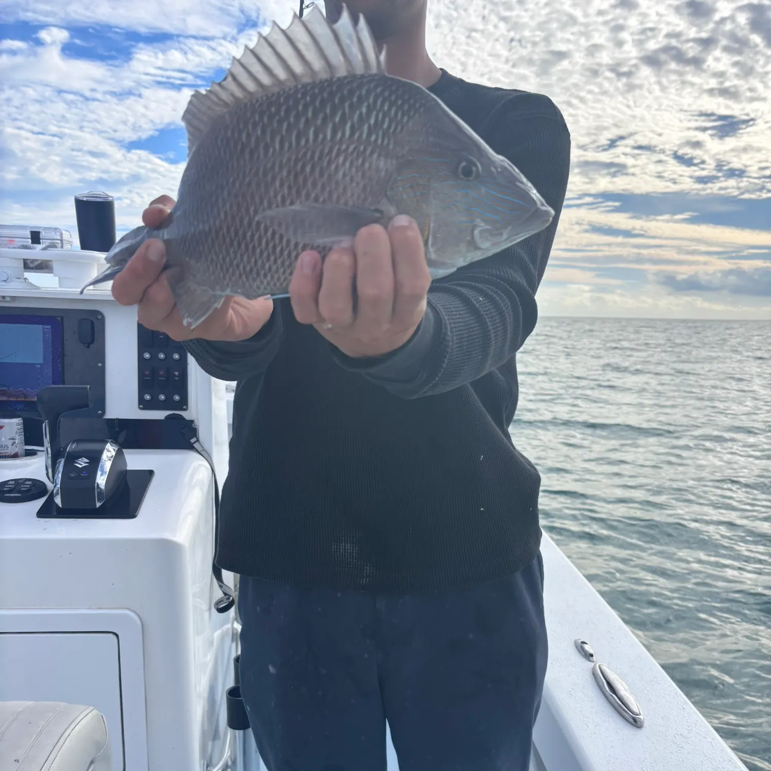 The most recent White grunt catches on Fishbrain