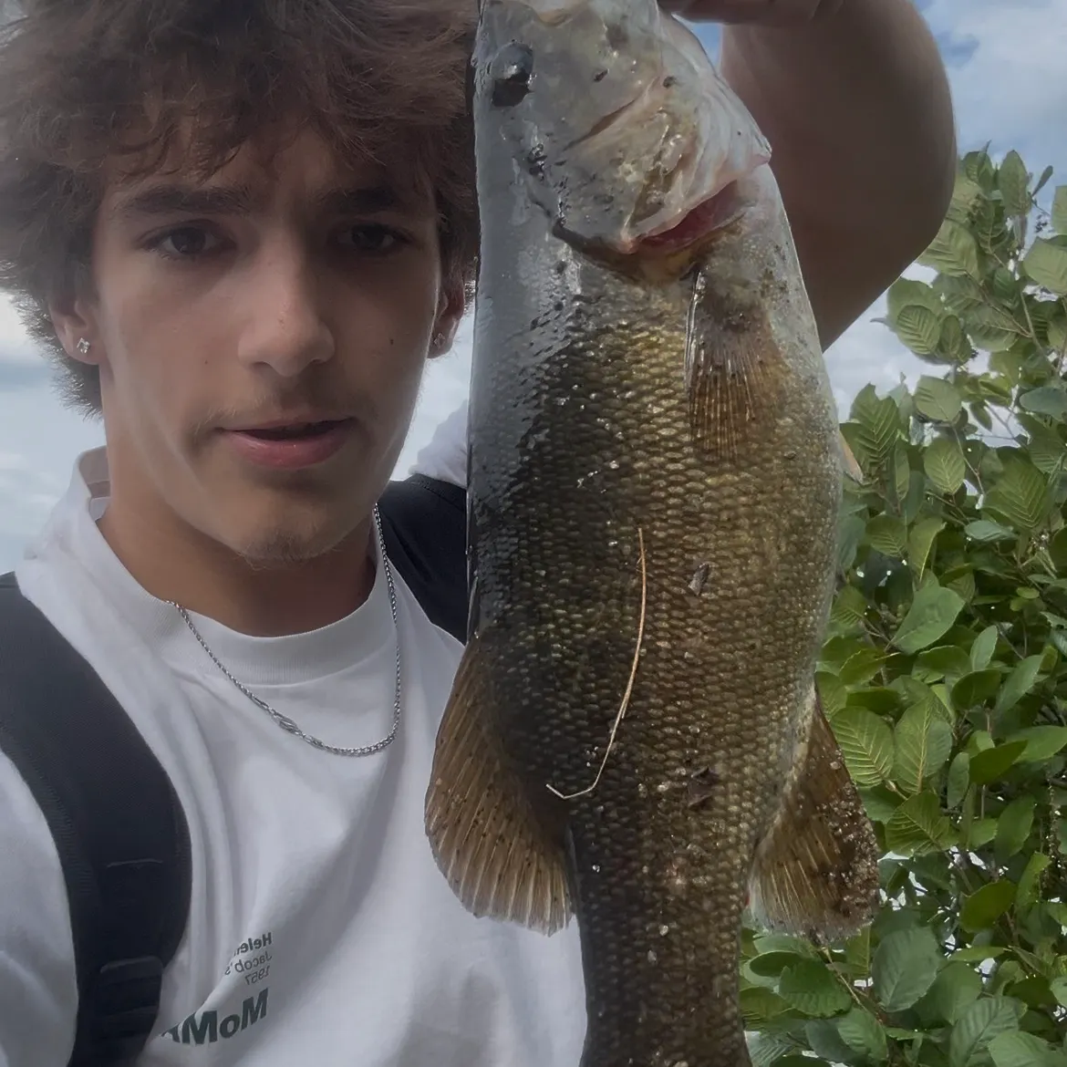 Smallmouth bass caught on Fishbrain