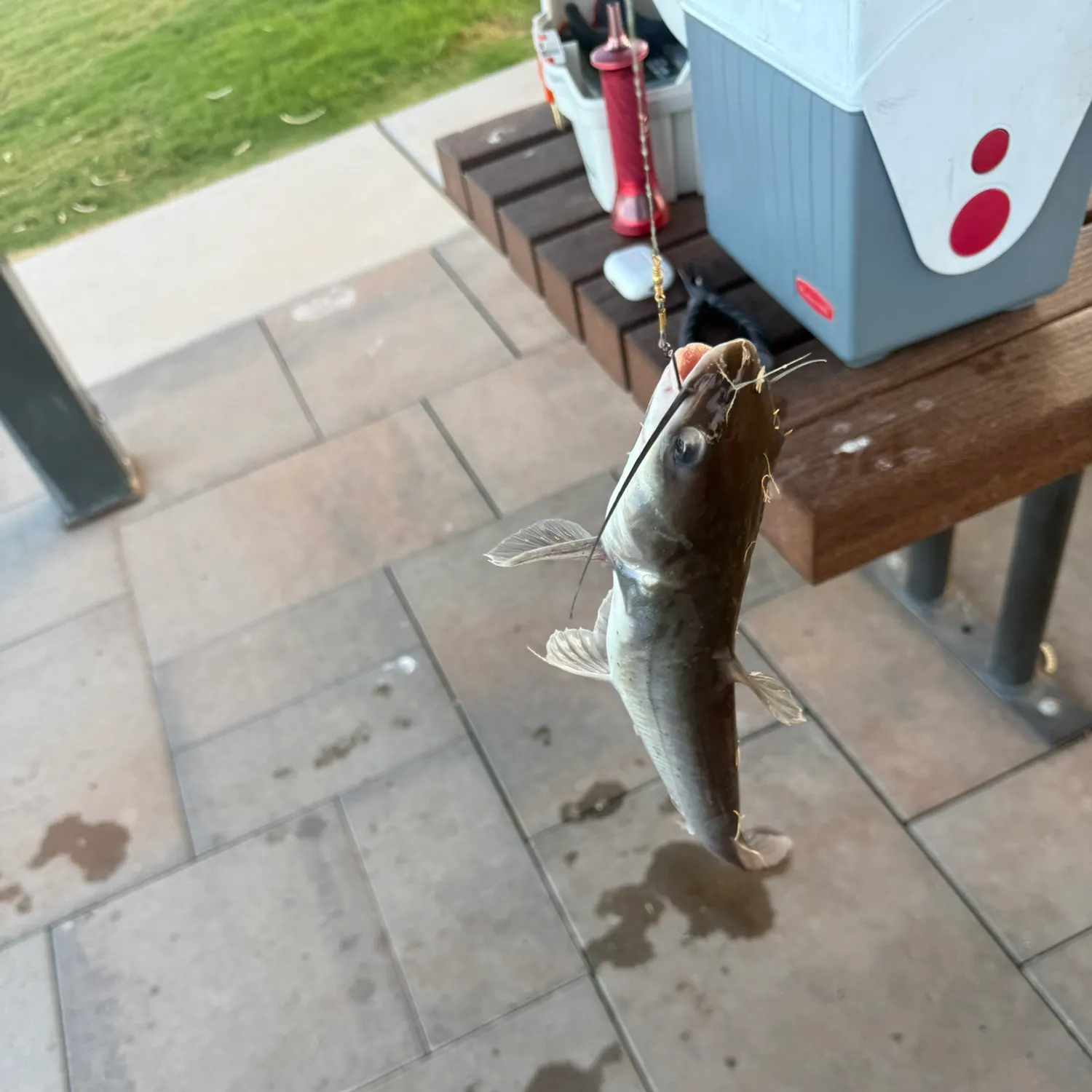 catch