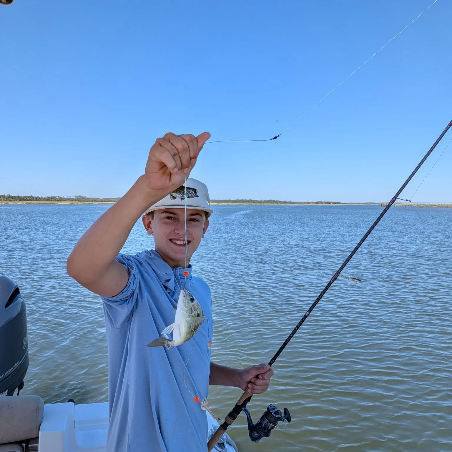 Pinfish caught on Fishbrain