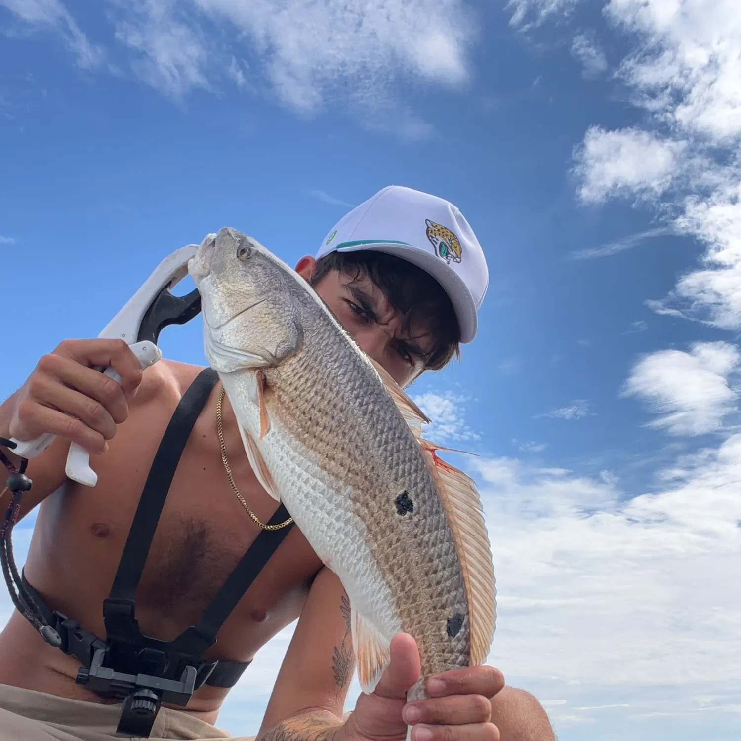 Red drum caught on Fishbrain