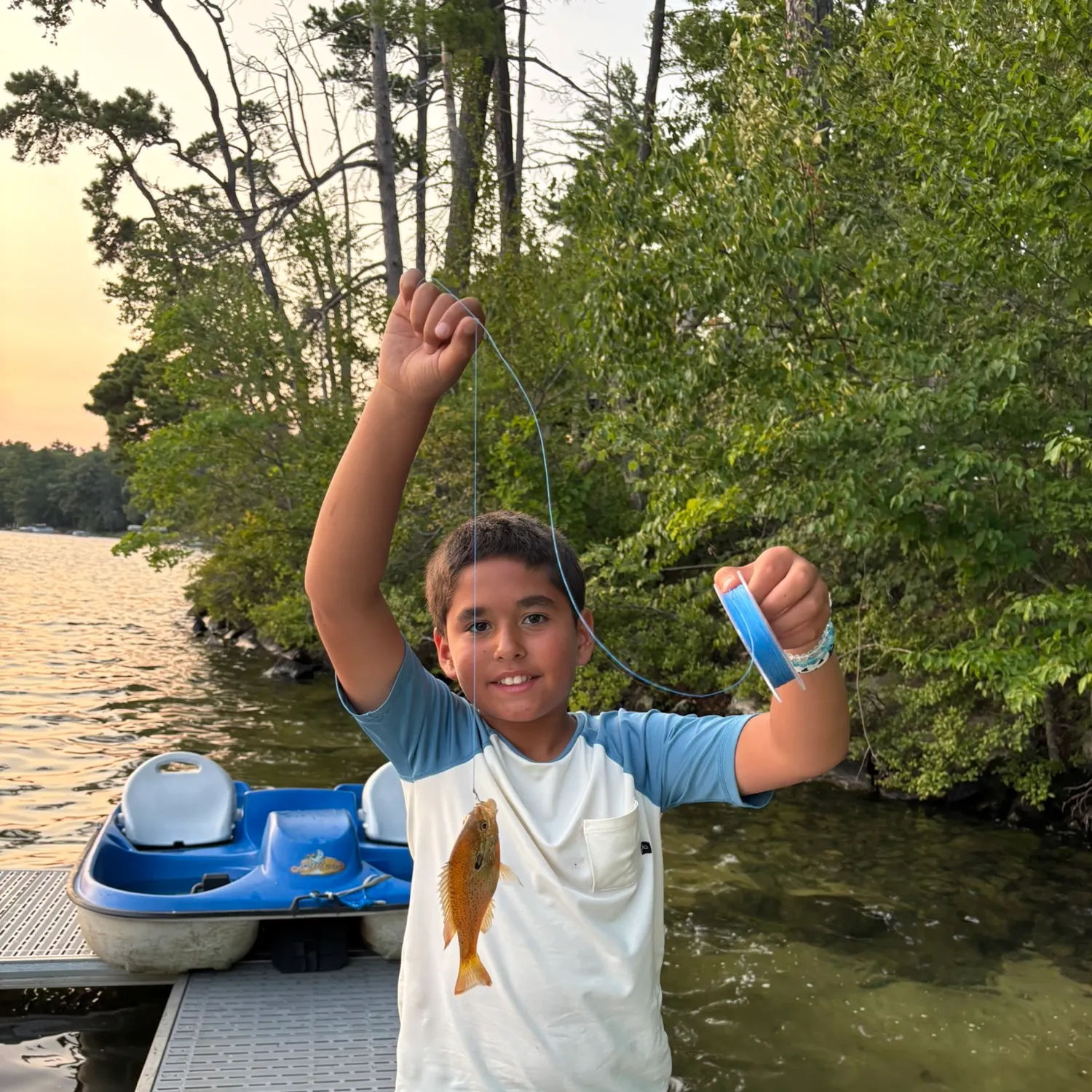The most recent Redbreast sunfish catches on Fishbrain