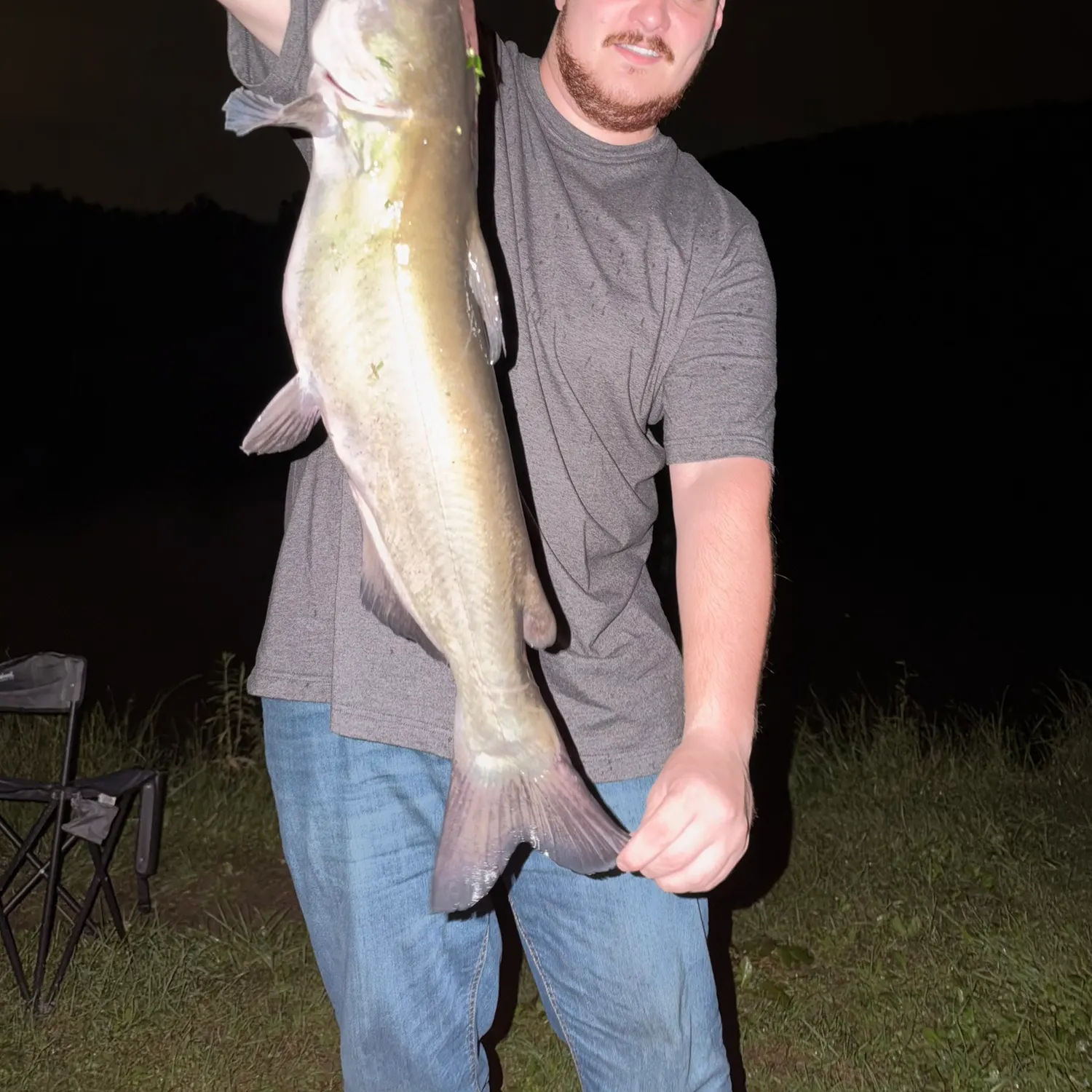 Channel catfish caught on Fishbrain
