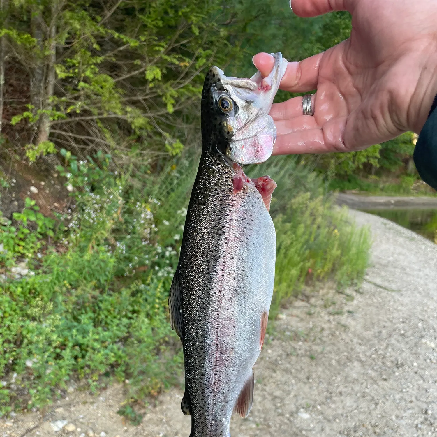 catch
