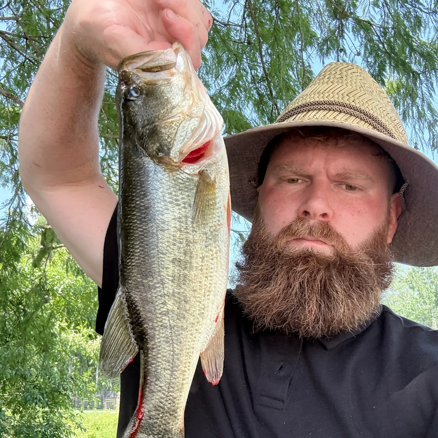 Fish caught on Fishbrain