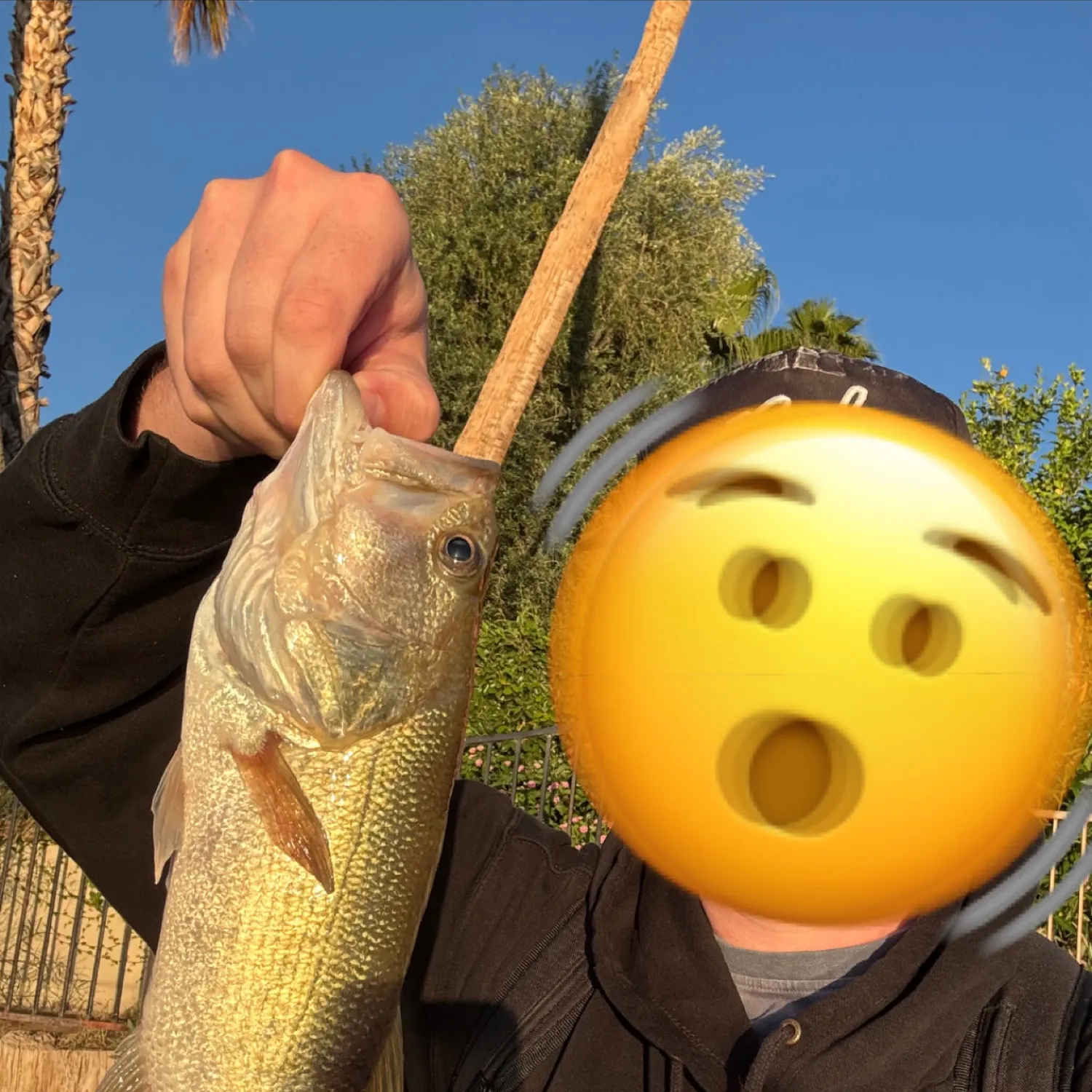 angler catch