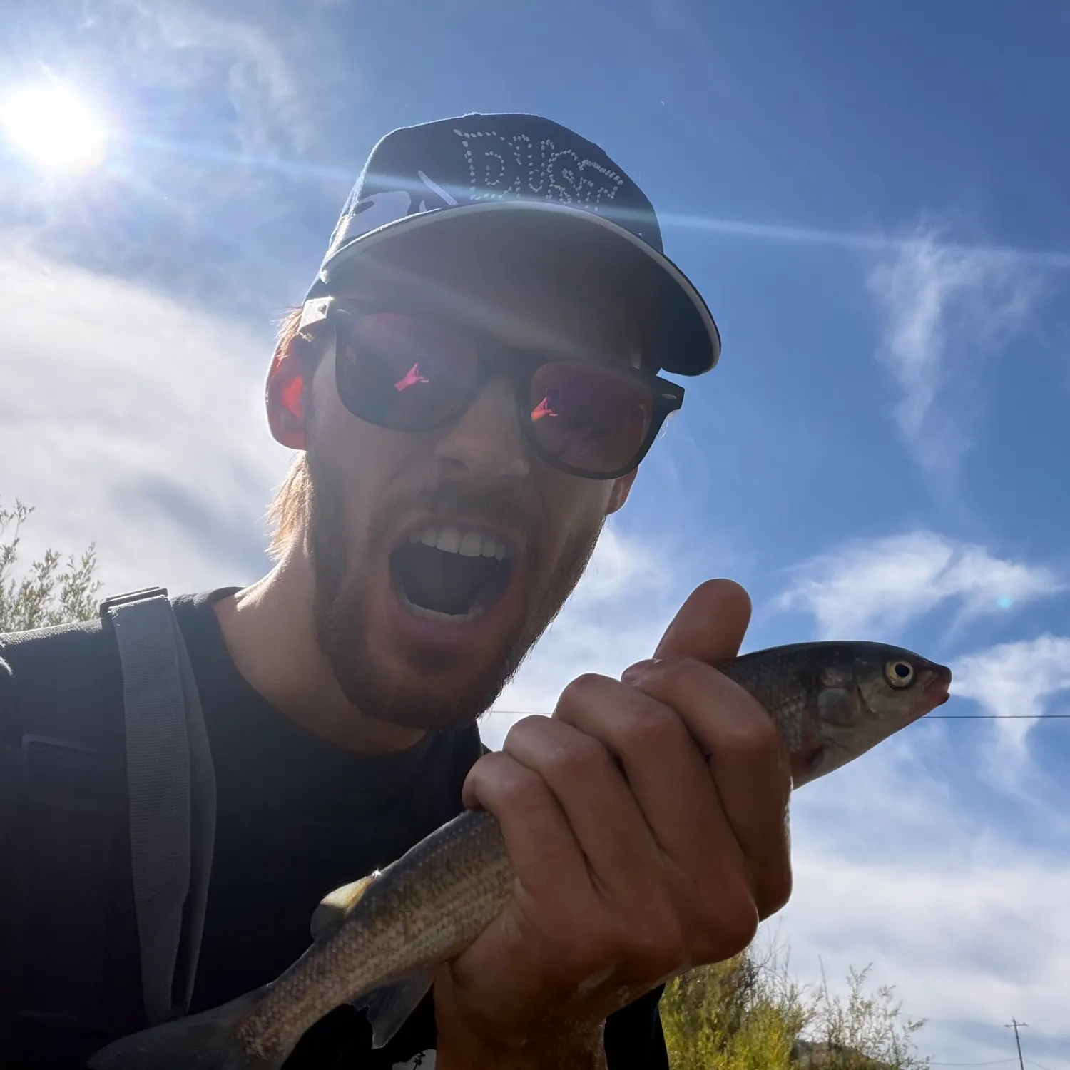 Mountain whitefish caught on Fishbrain