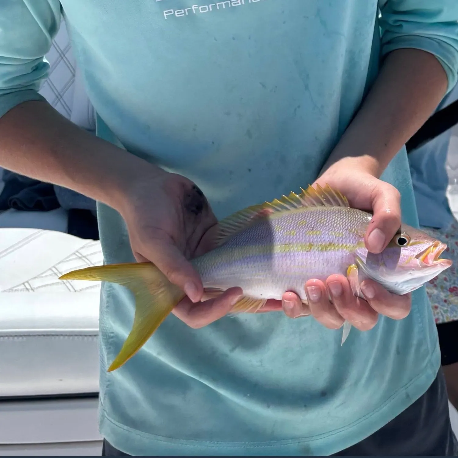 The most recent Yellowtail snapper catches on Fishbrain