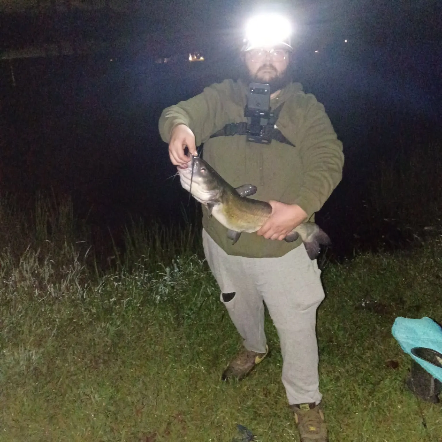 Channel catfish caught on Fishbrain