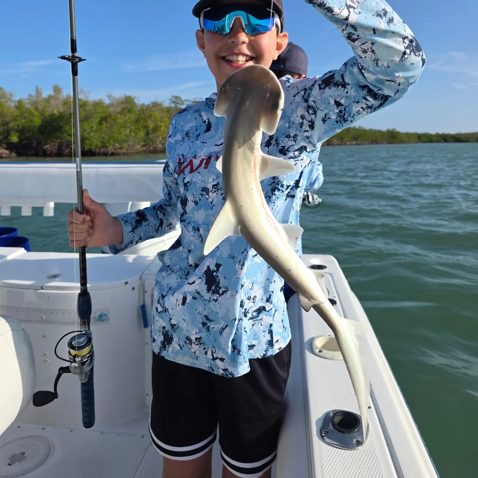 The most recent Bonnethead shark catches on Fishbrain