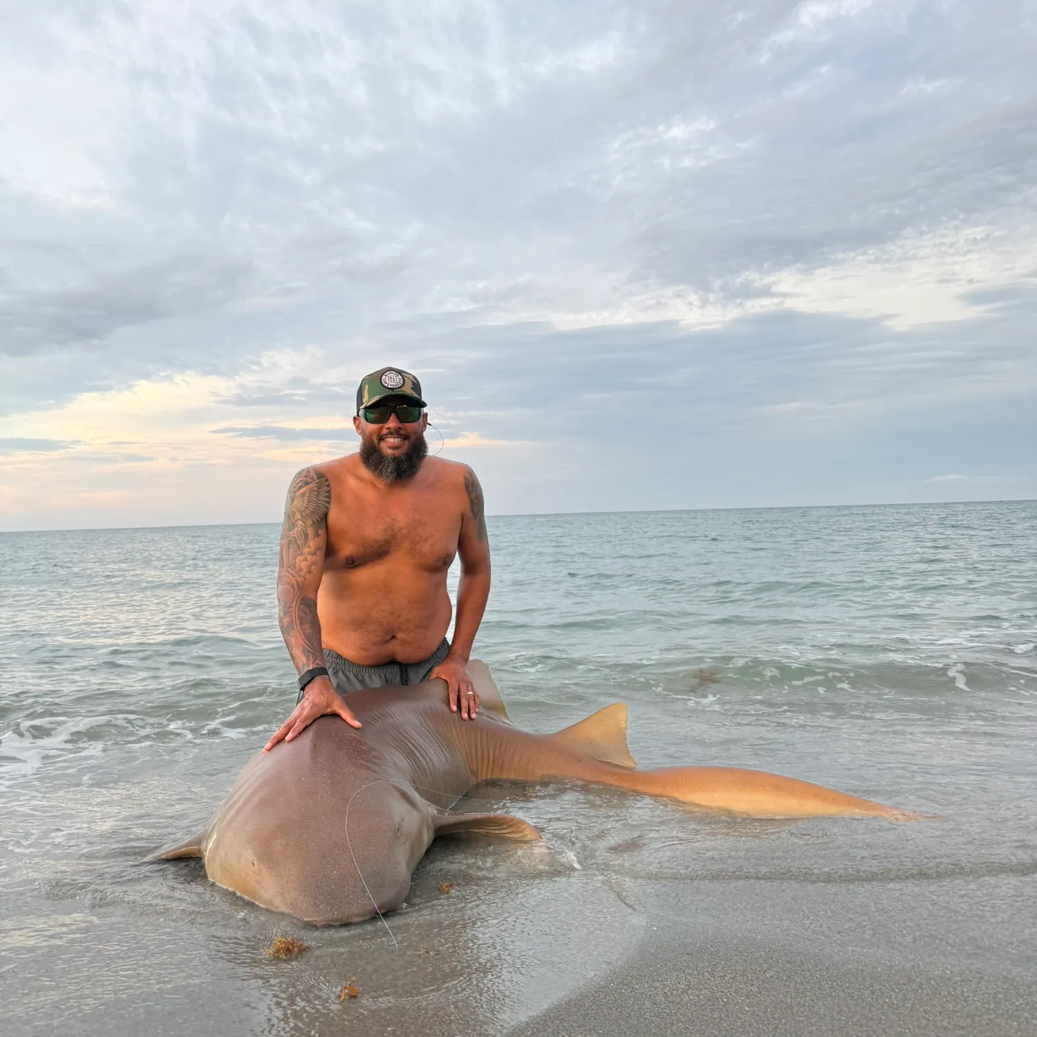 The most recent Nurse shark catches on Fishbrain