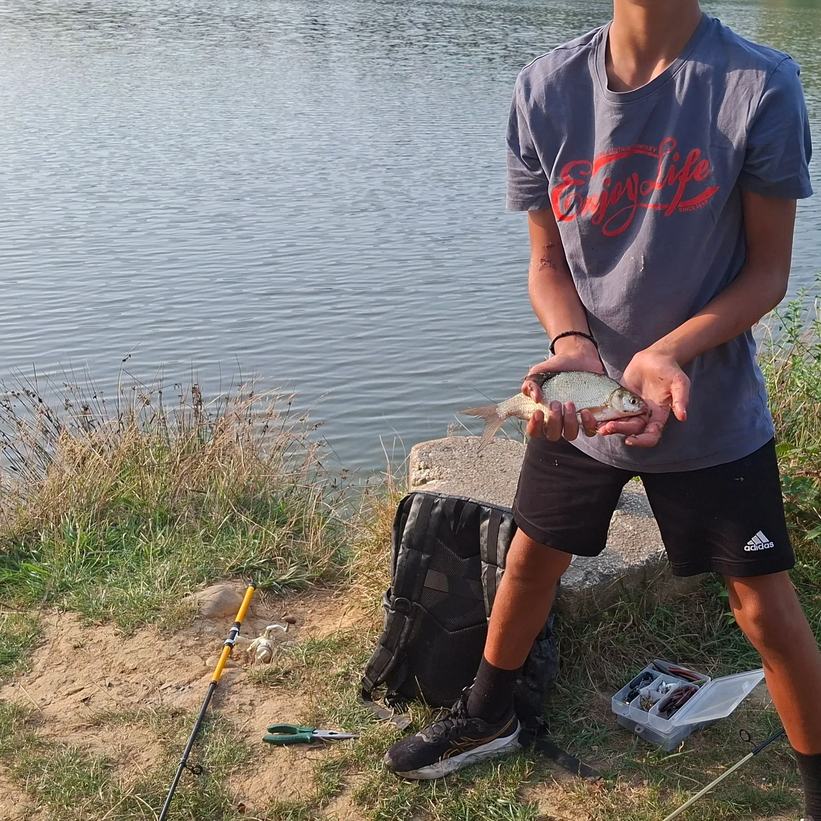 Common bream caught on Fishbrain