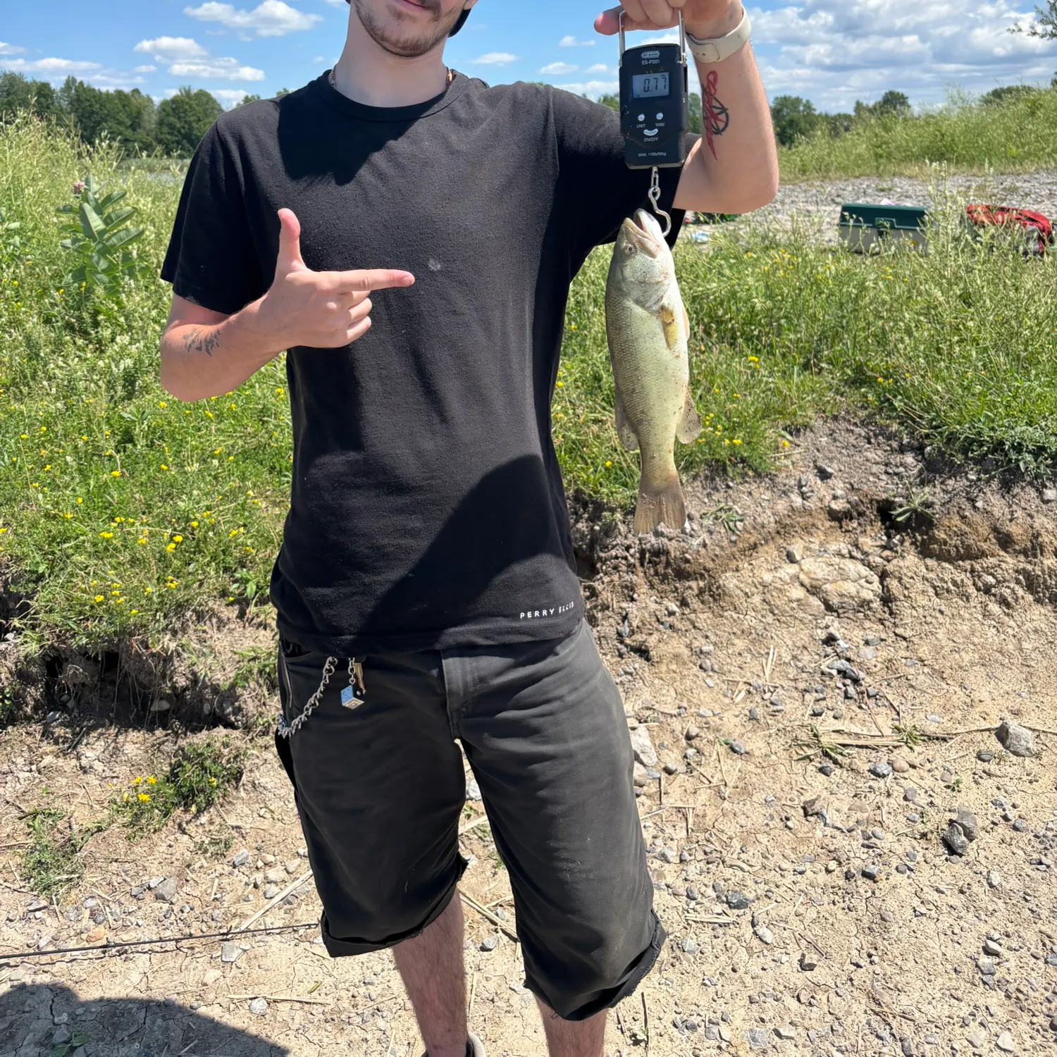 Largemouth bass caught on Fishbrain