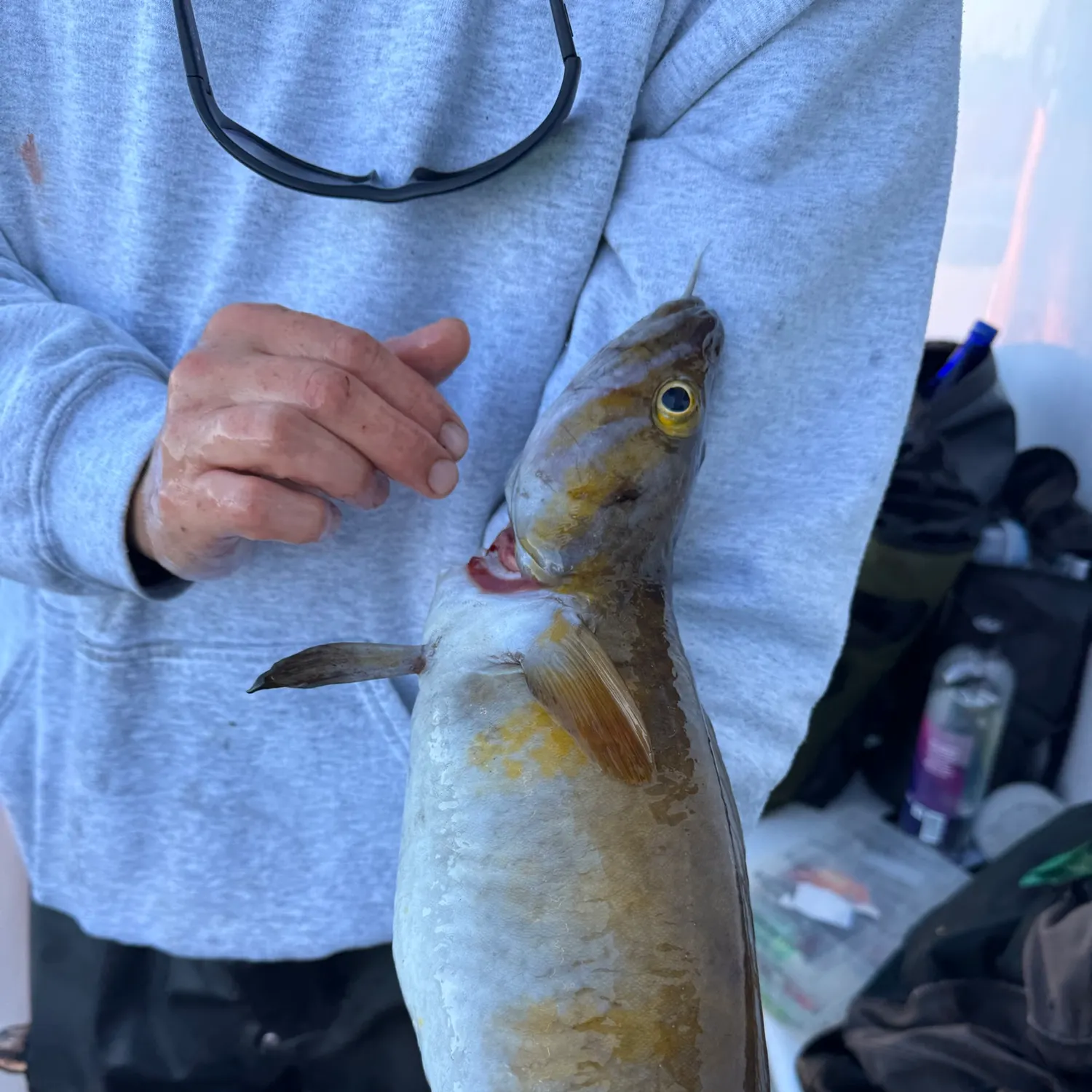 The most recent Cusk catches on Fishbrain