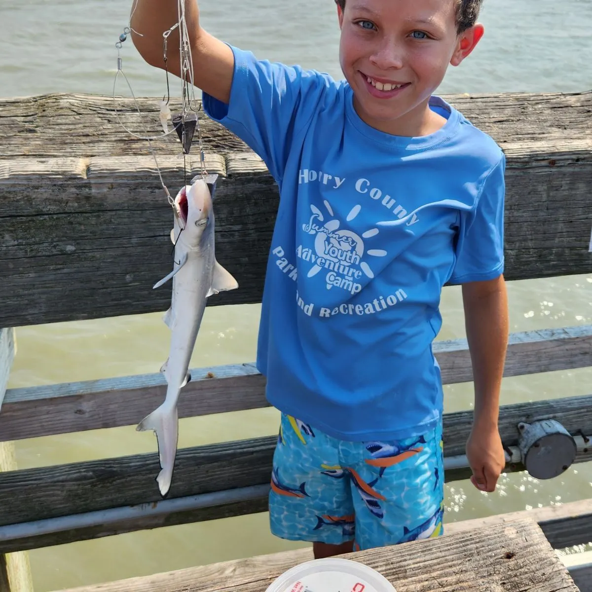 The most recent Dusky smooth-hound catches on Fishbrain
