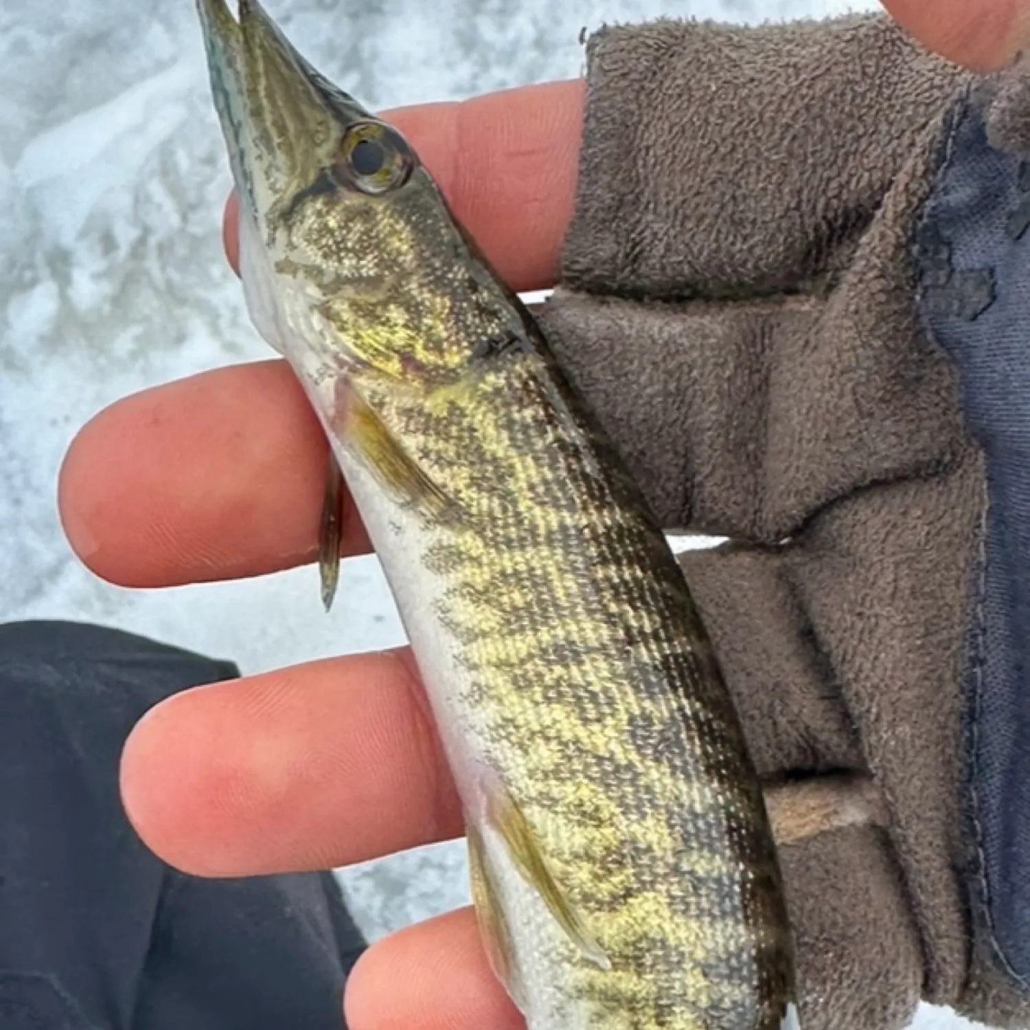 most liked catch image