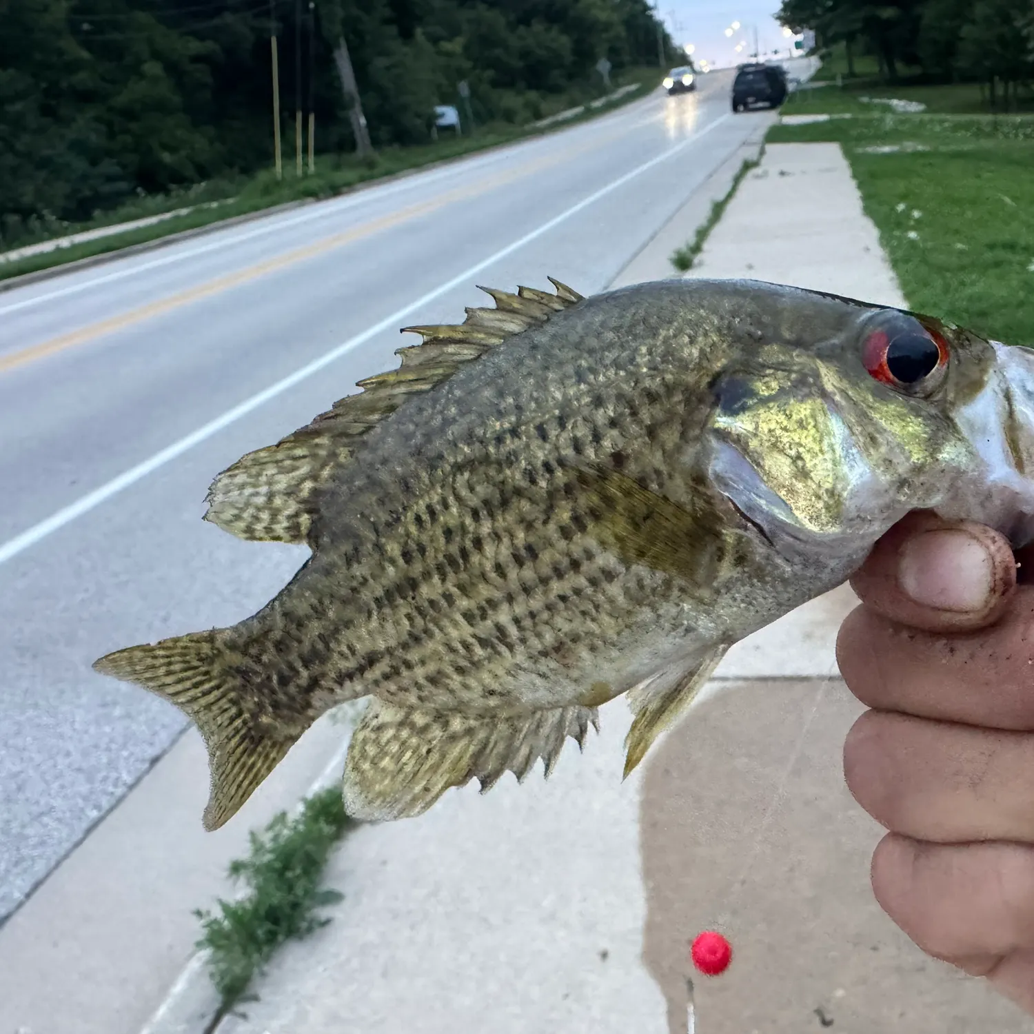 catch