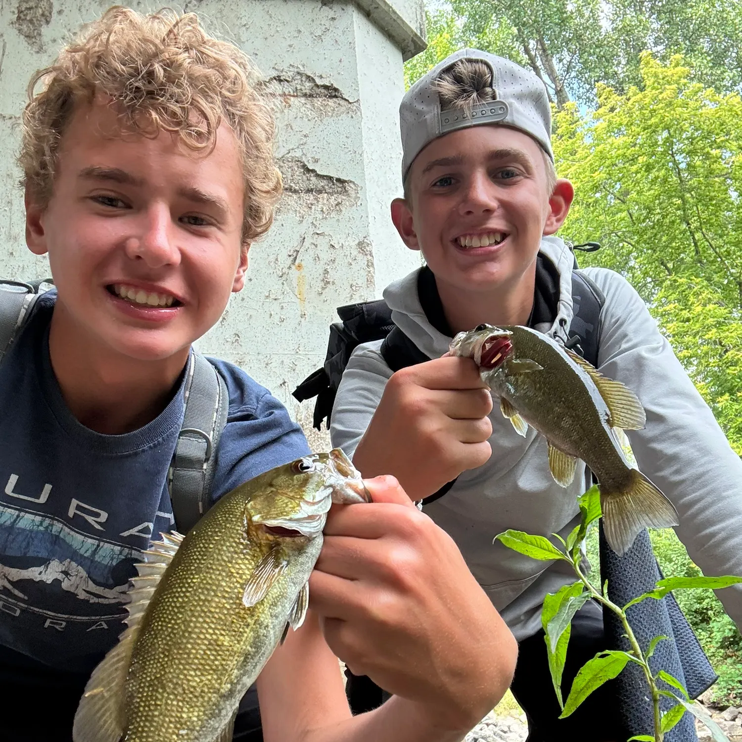 Smallmouth bass caught on Fishbrain