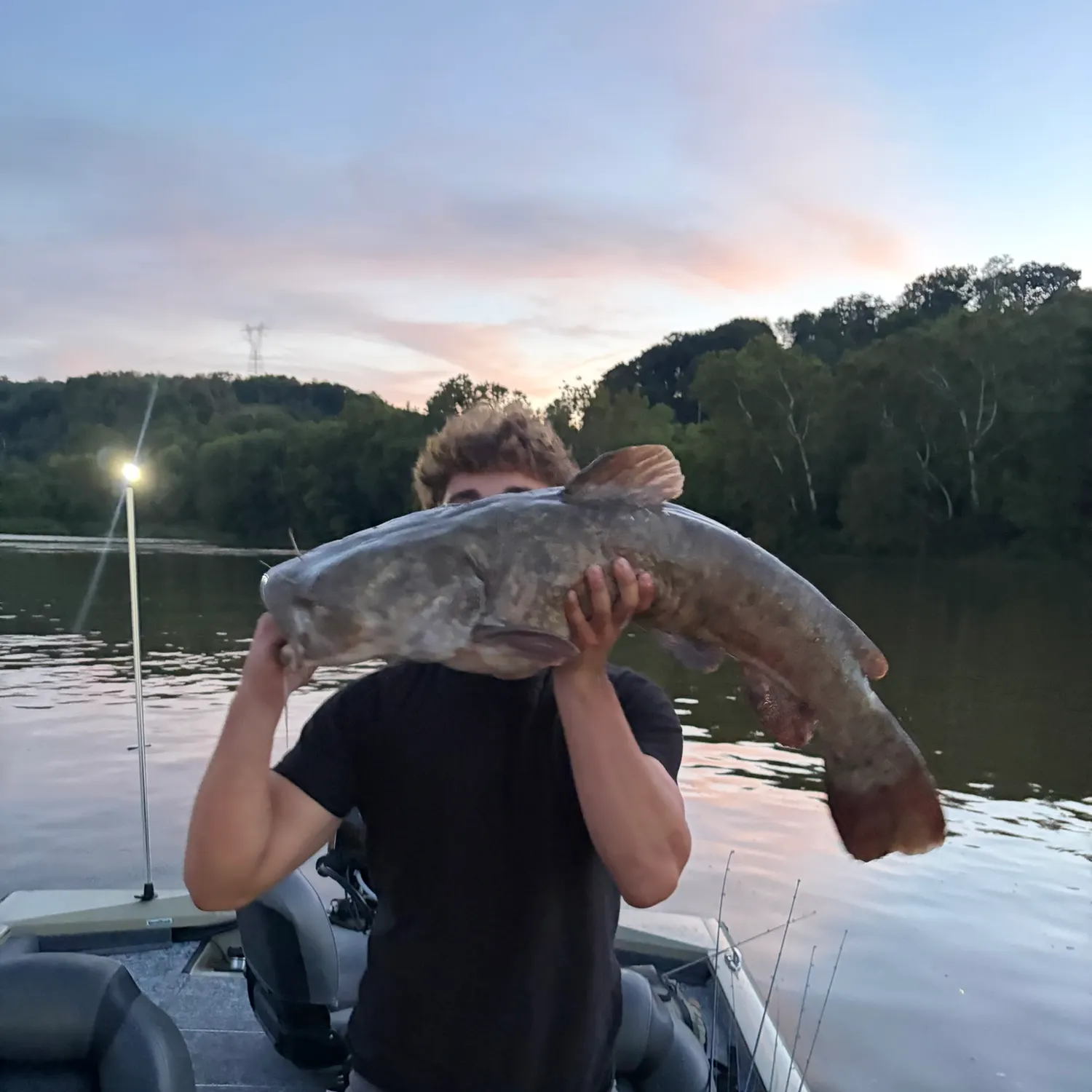 Flathead catfish caught on Fishbrain