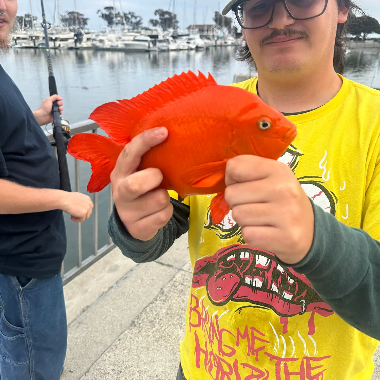 most liked catch image