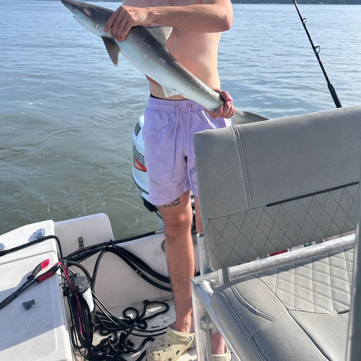The most recent Atlantic sharpnose shark catches on Fishbrain