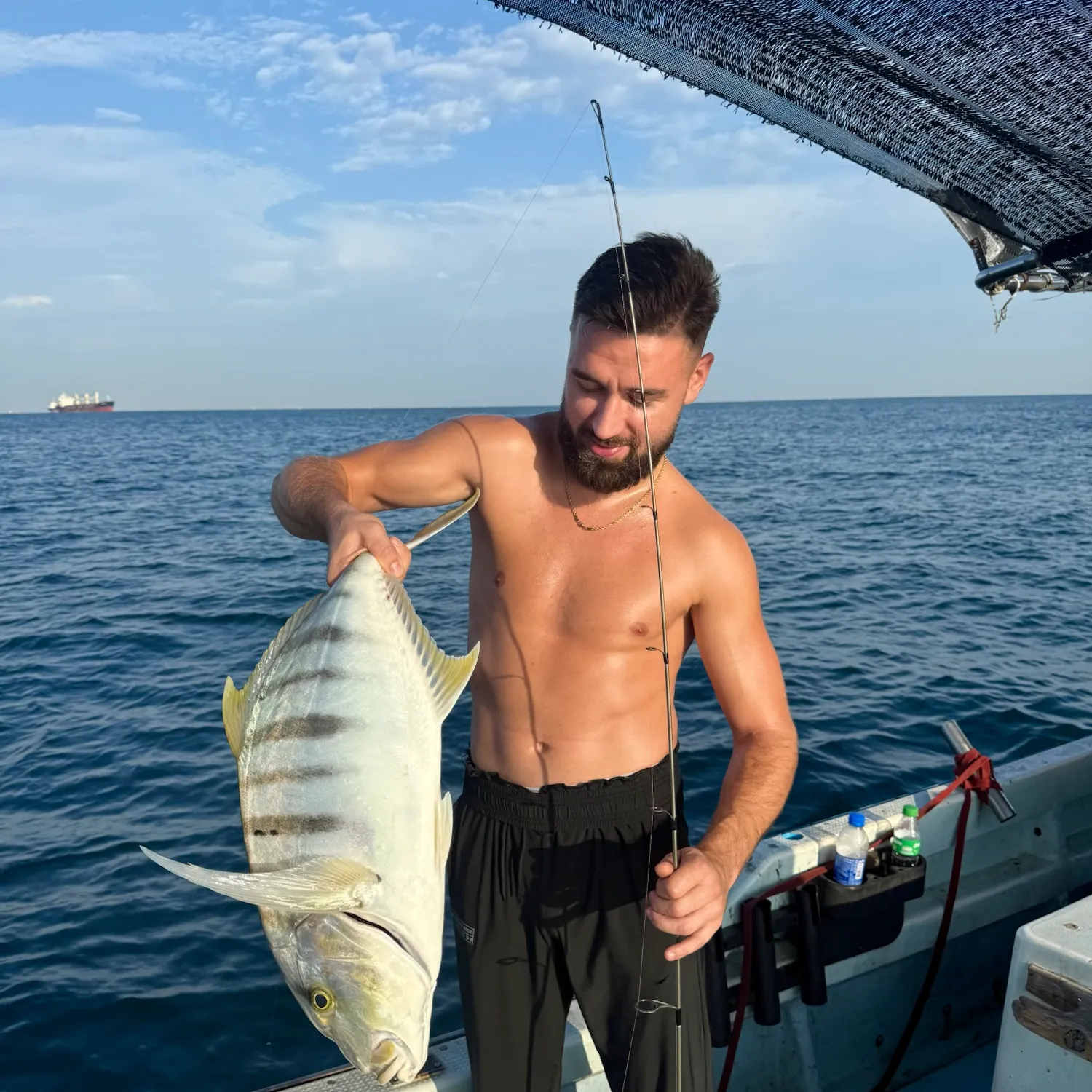 The most recent Golden trevally catches on Fishbrain