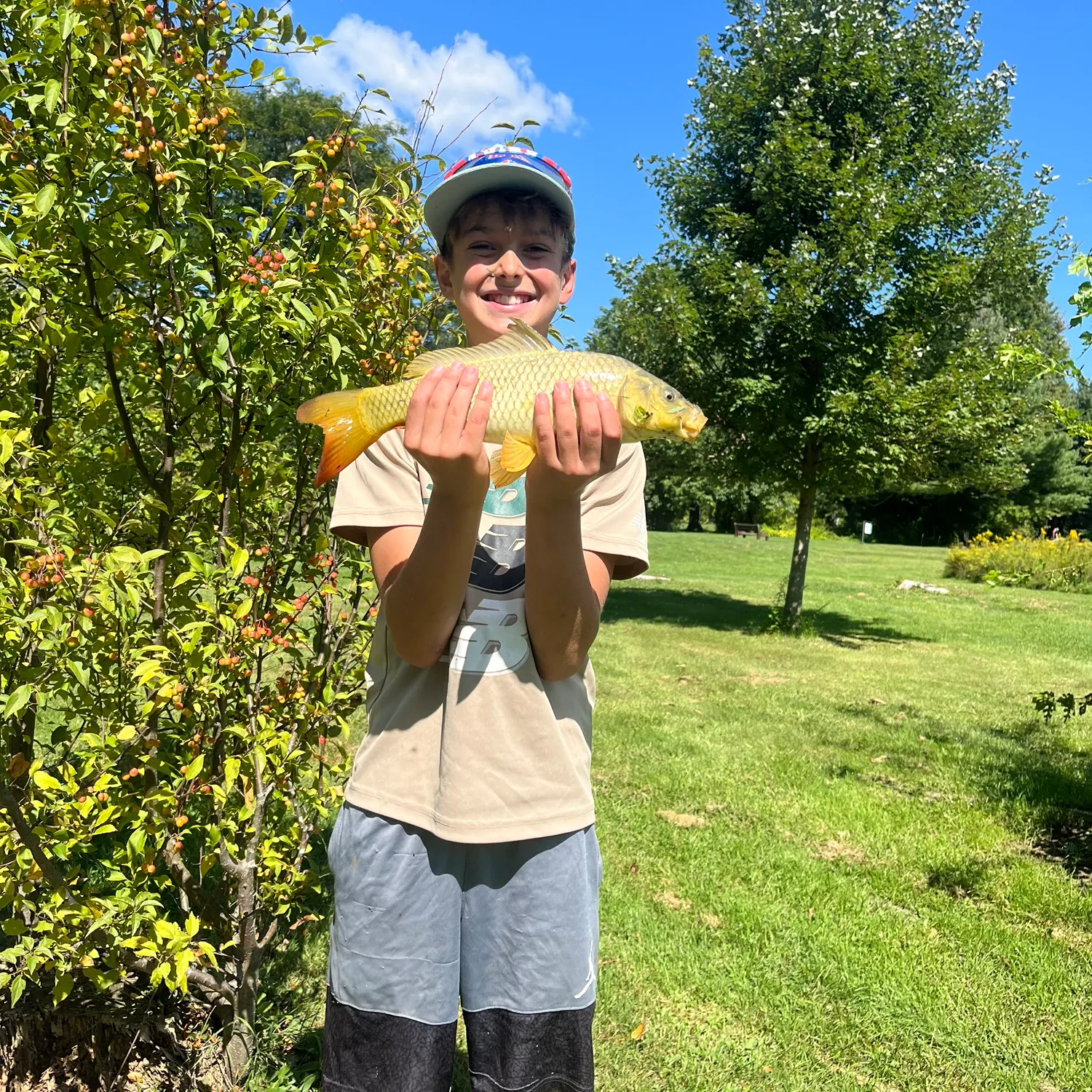 Common carp caught on Fishbrain