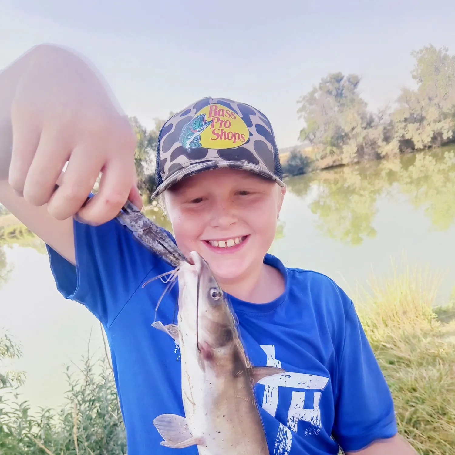 Channel catfish caught on Fishbrain
