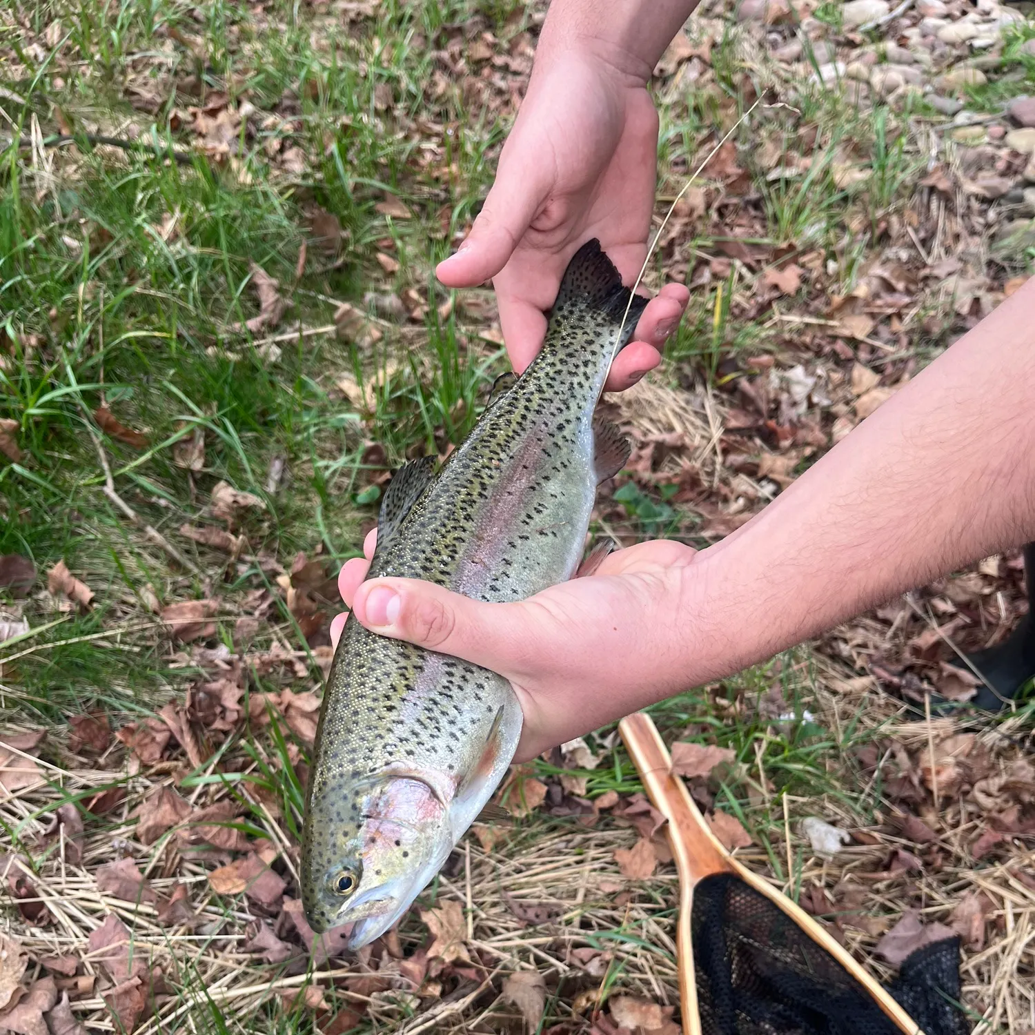 angler catch