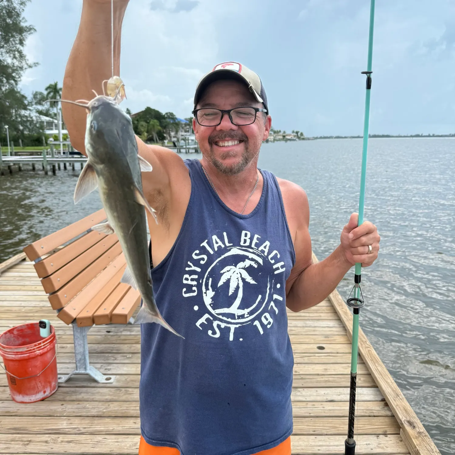 Hardhead sea catfish caught on Fishbrain