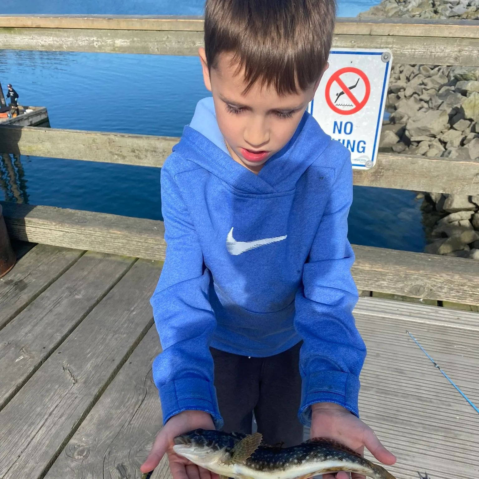 The most recent Whitespotted greenling catches on Fishbrain