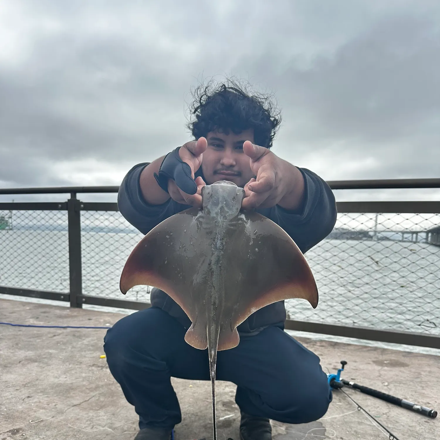 The most recent Bat eagle ray catches on Fishbrain