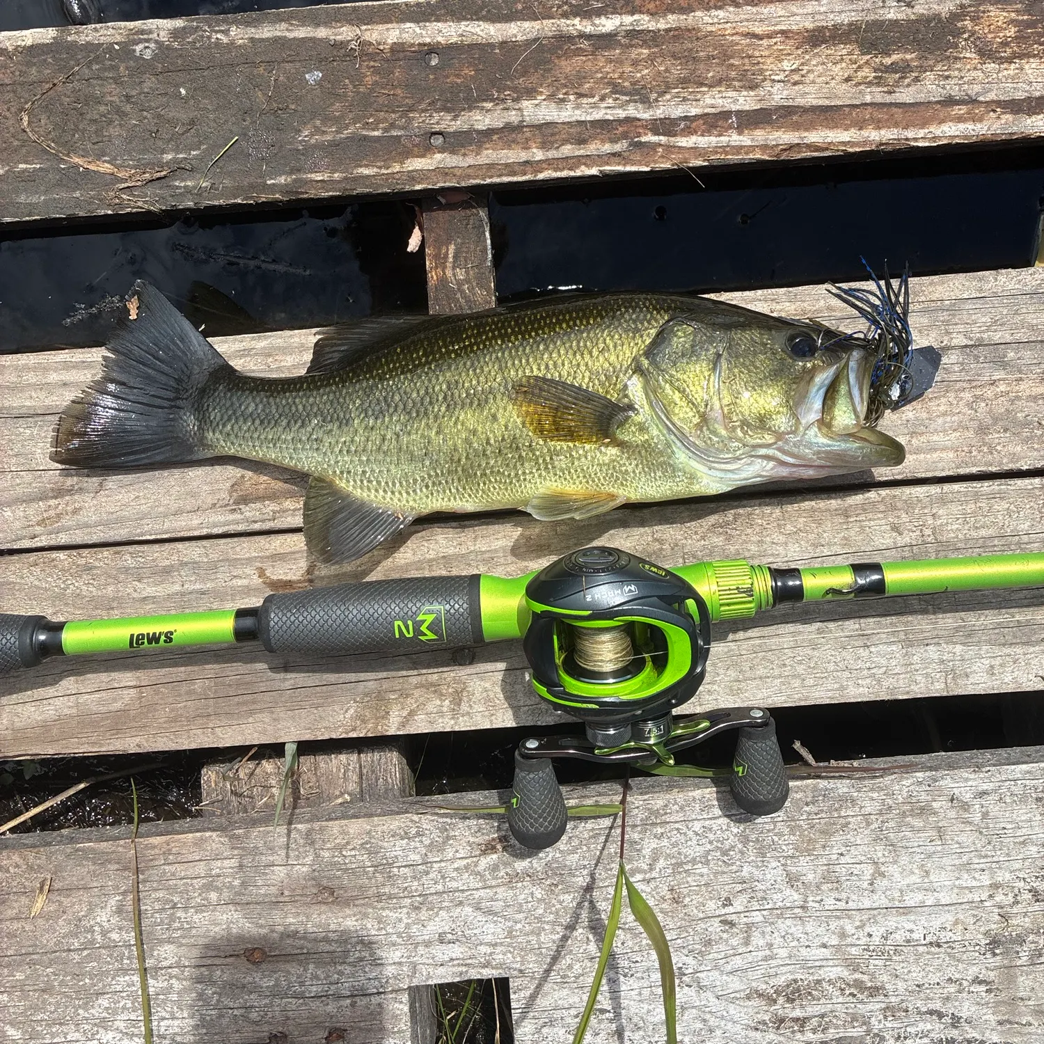 Largemouth bass caught on Fishbrain