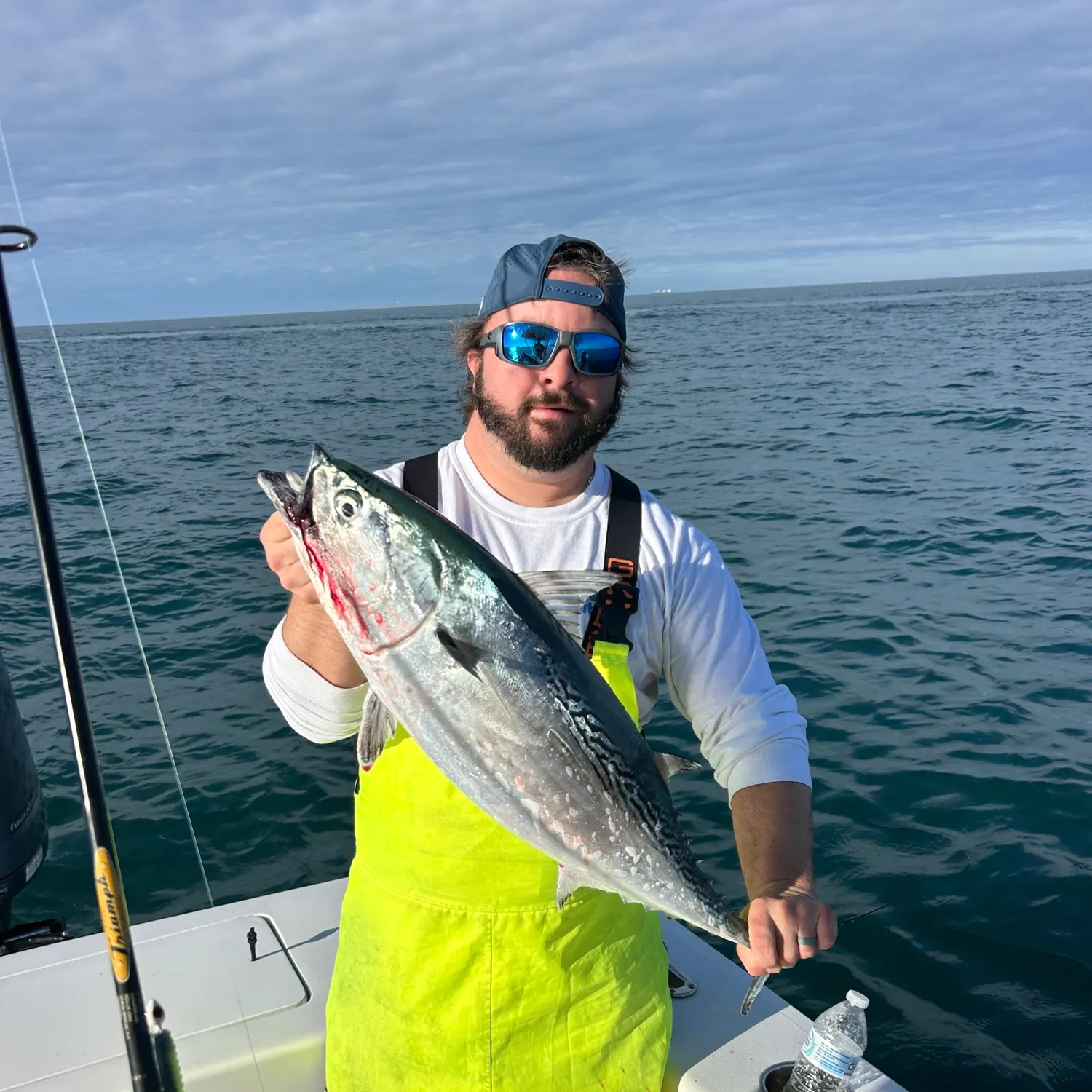 The most recent Little tunny catches on Fishbrain