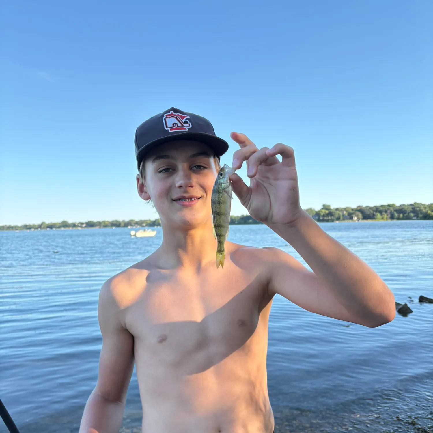 Yellow perch caught on Fishbrain