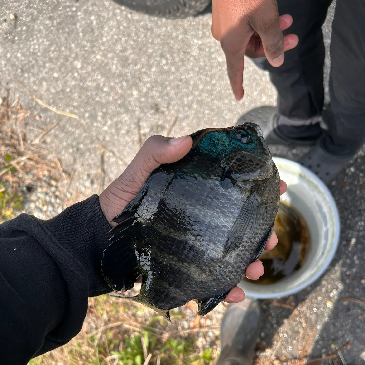 catch