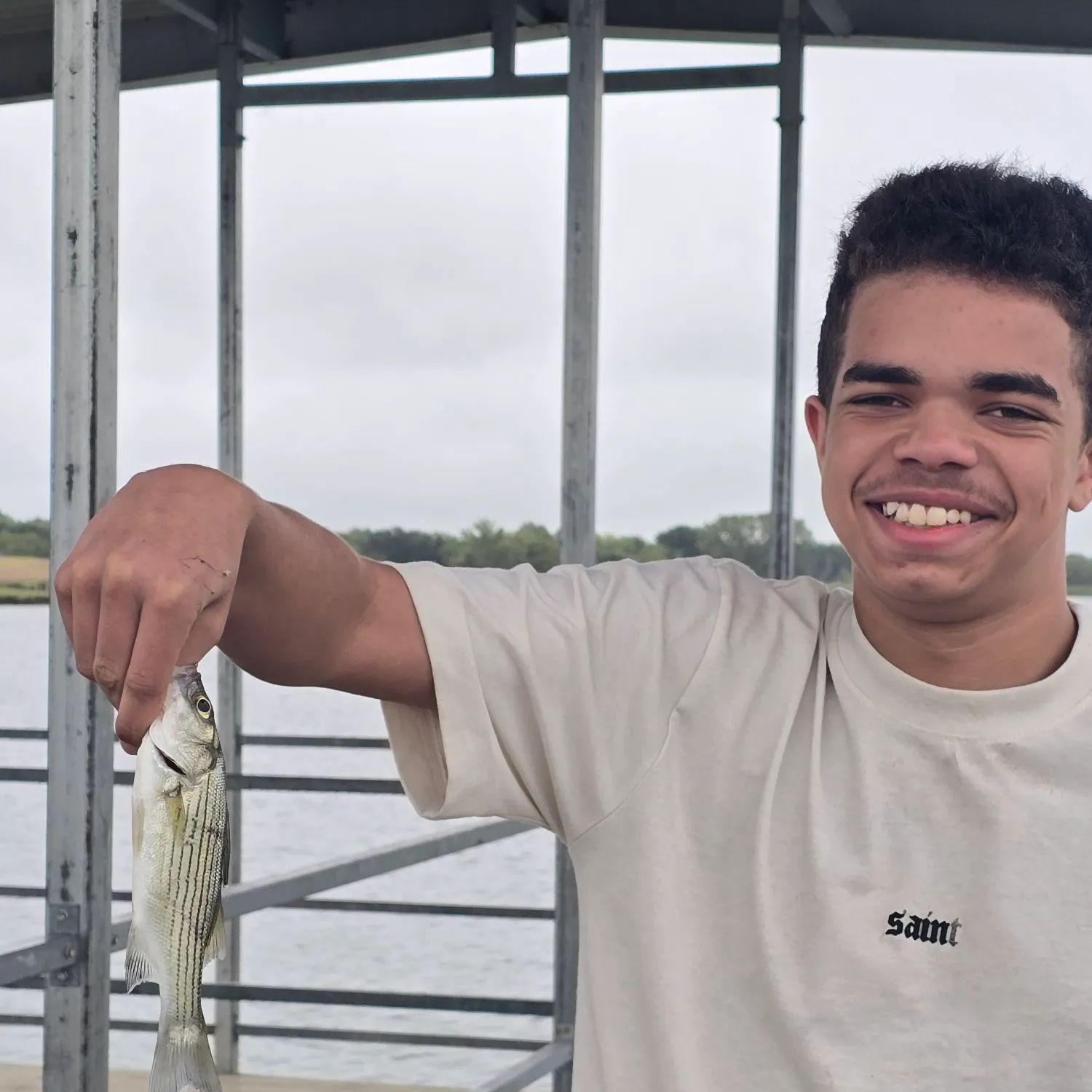 Striped bass caught on Fishbrain