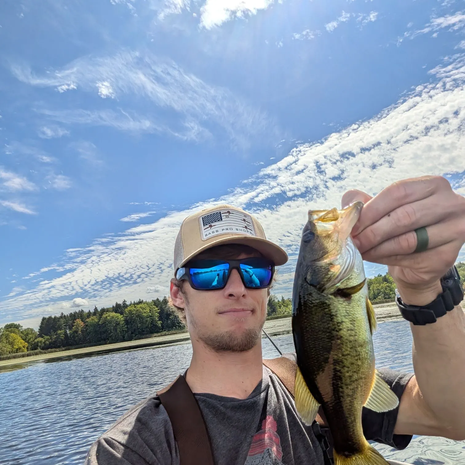 Largemouth bass caught on Fishbrain