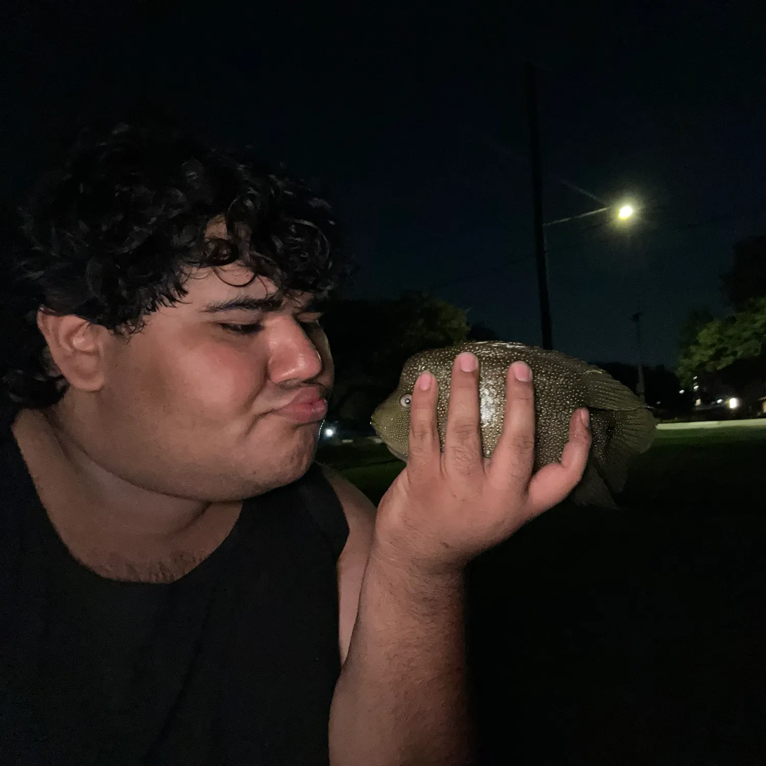 Rio Grande cichlid caught on Fishbrain