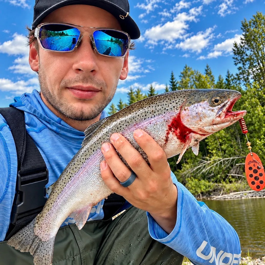 Steelhead caught on Fishbrain