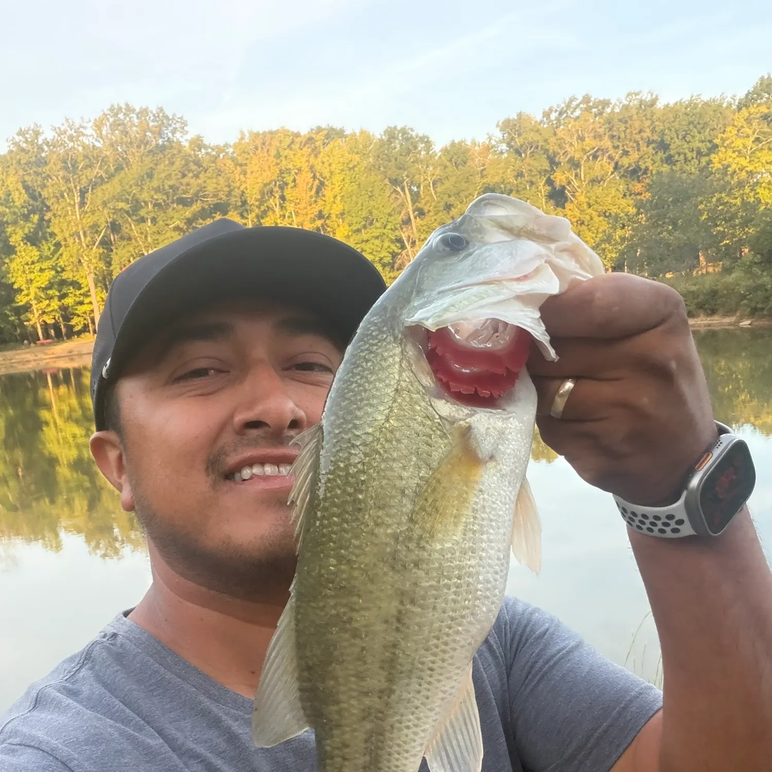 Largemouth bass caught on Fishbrain