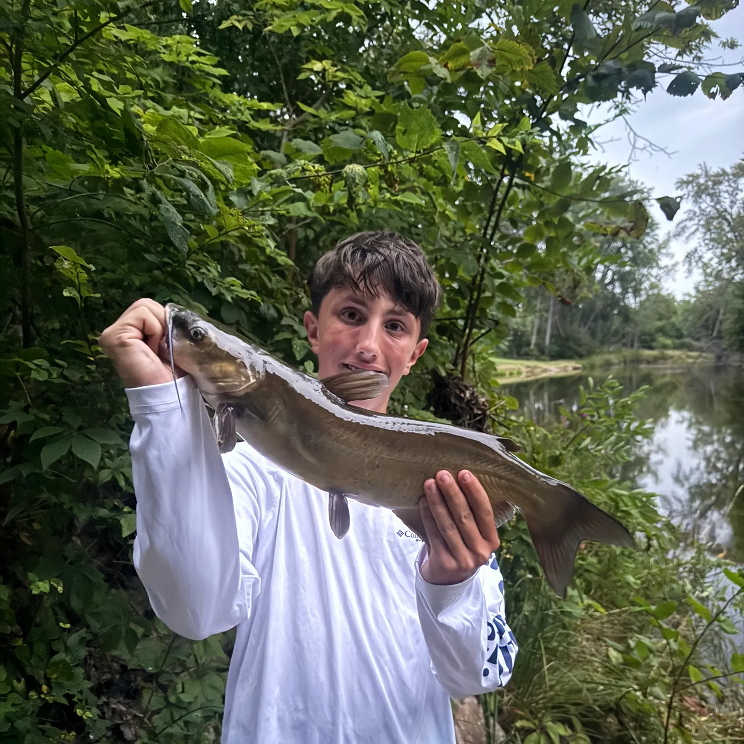 Channel catfish caught on Fishbrain