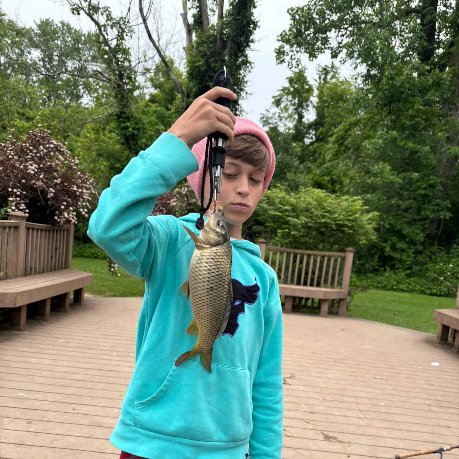 most liked catch image