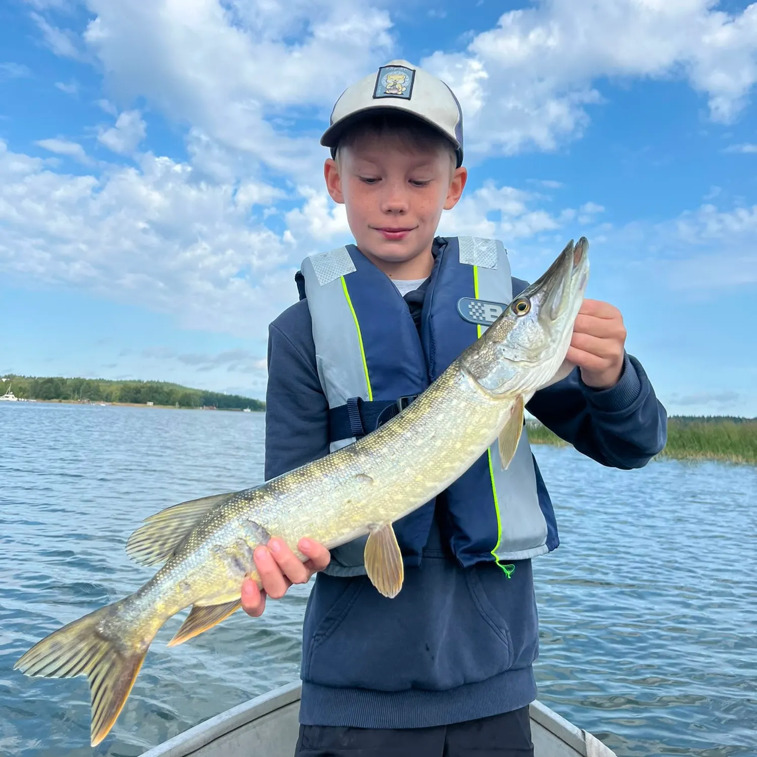 Northern pike caught on Fishbrain