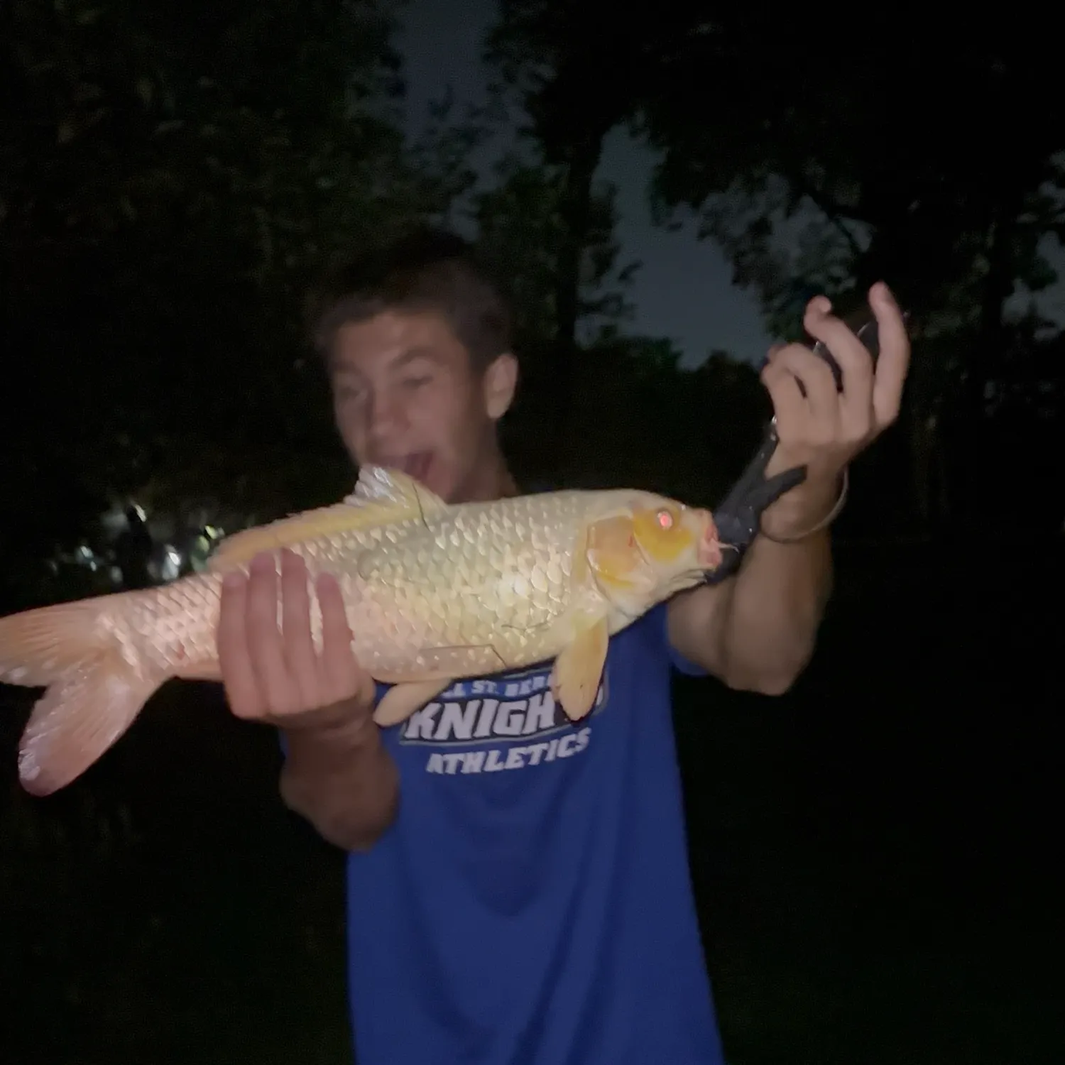 Goldfish caught on Fishbrain