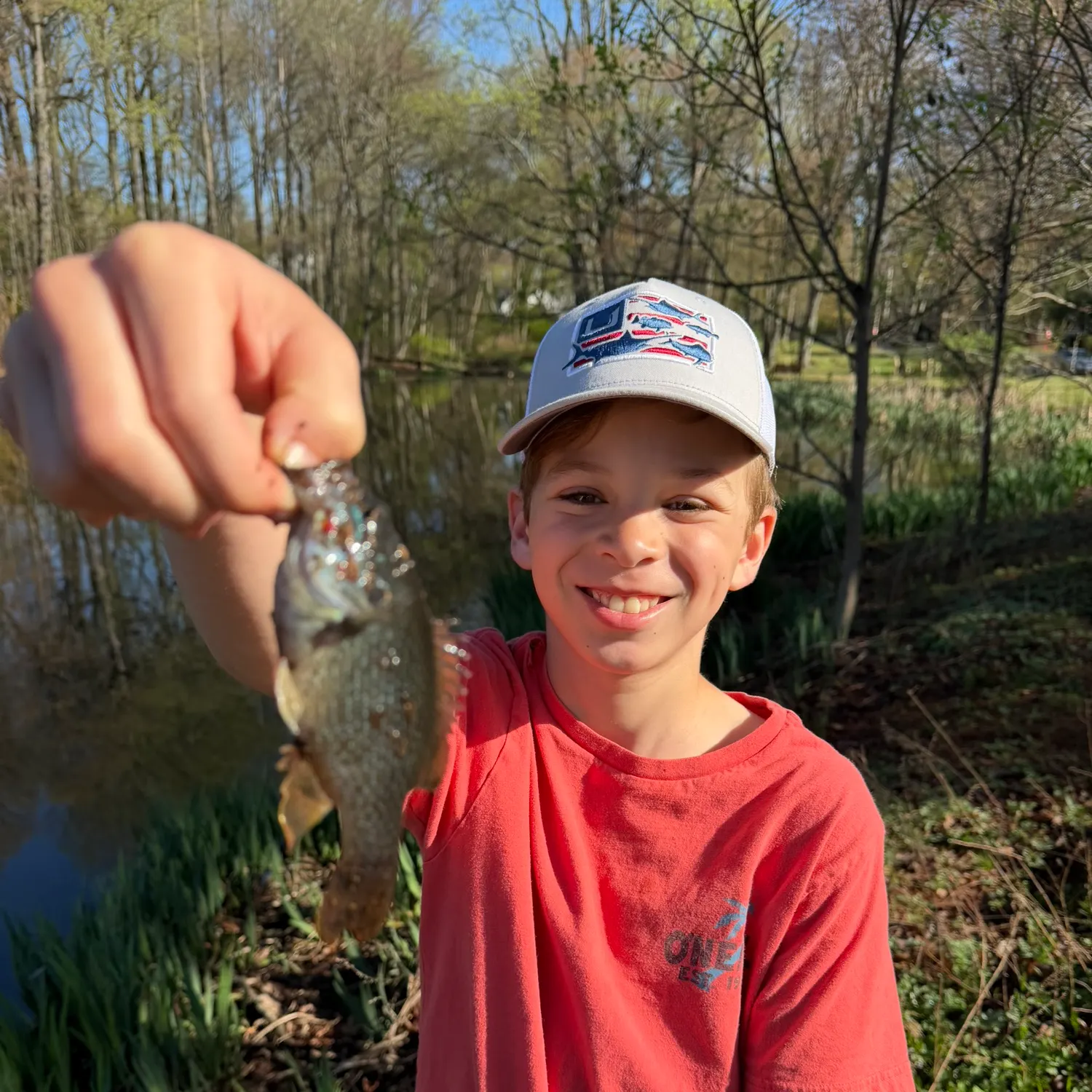 The most recent Pumpkinseed x green sunfish catches on Fishbrain